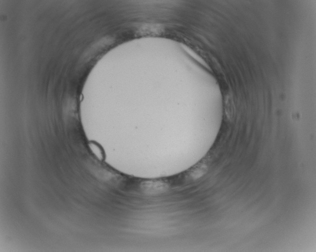 X0000077350714200611101614