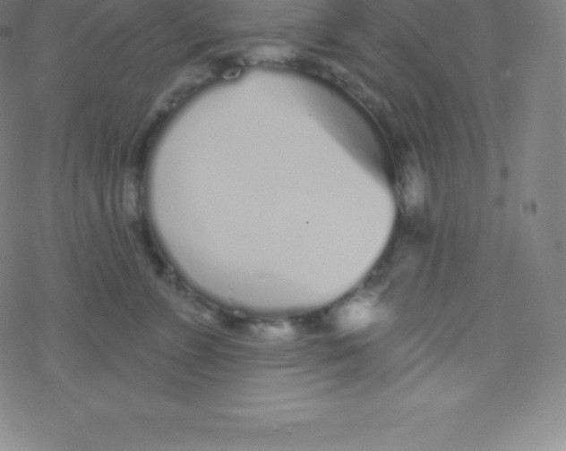 X0000077350715200611101614