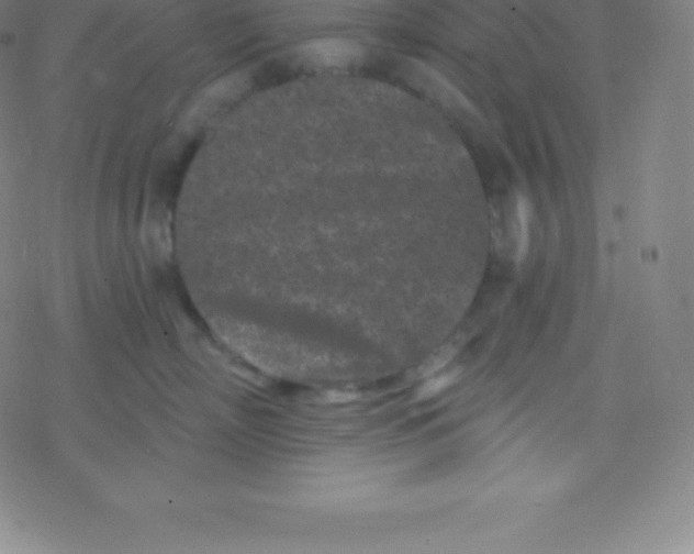 X0000077350718200611101614