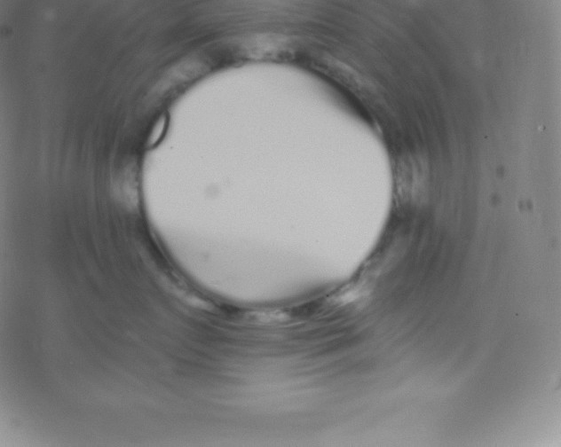 X0000077350719200611101614