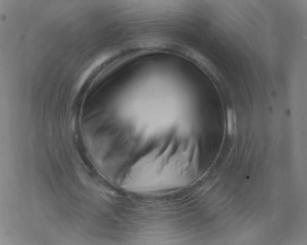 X0000077350723200611101613