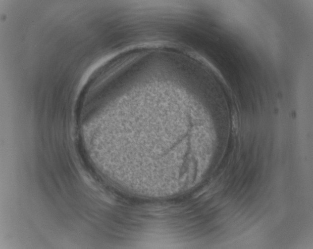 X0000077350724200611101613