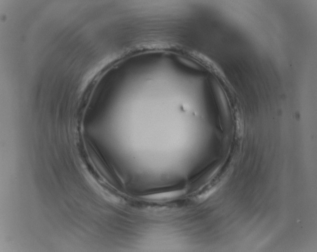 X0000077350725200611101613