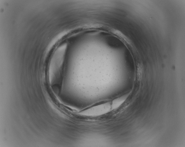 X0000077350726200611101613