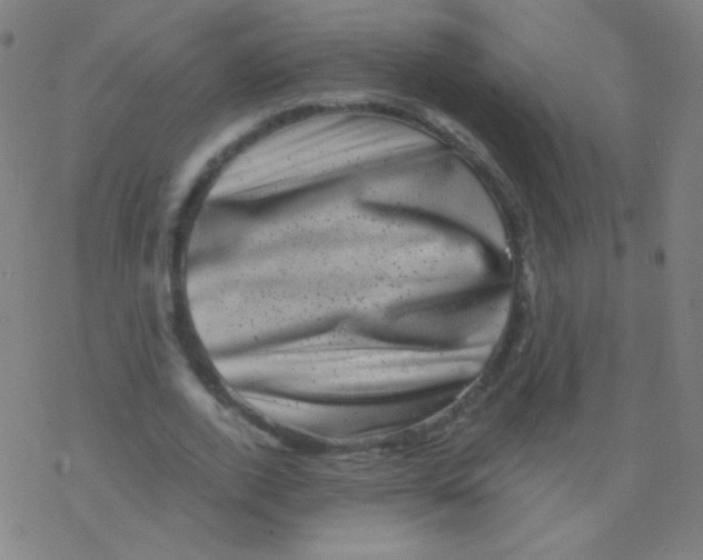 X0000077350728200611101613