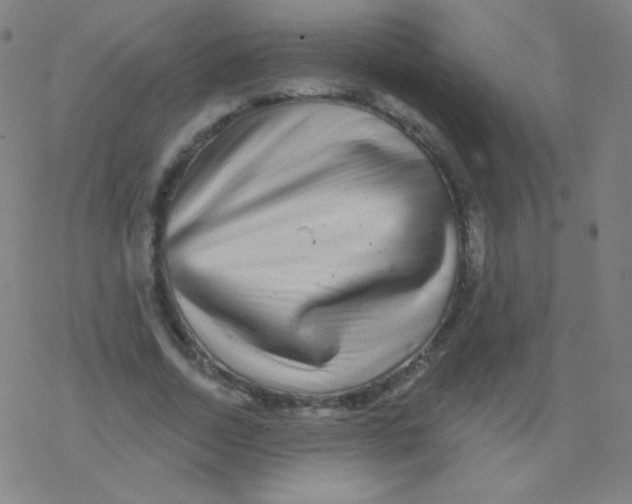 X0000077350730200611101613