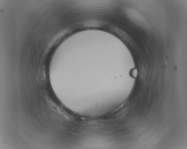 X0000077350731200611101613