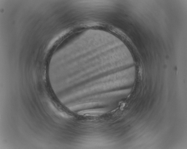 X0000077350732200611101613