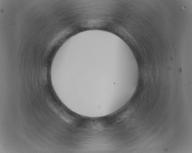 X0000077350735200611101613