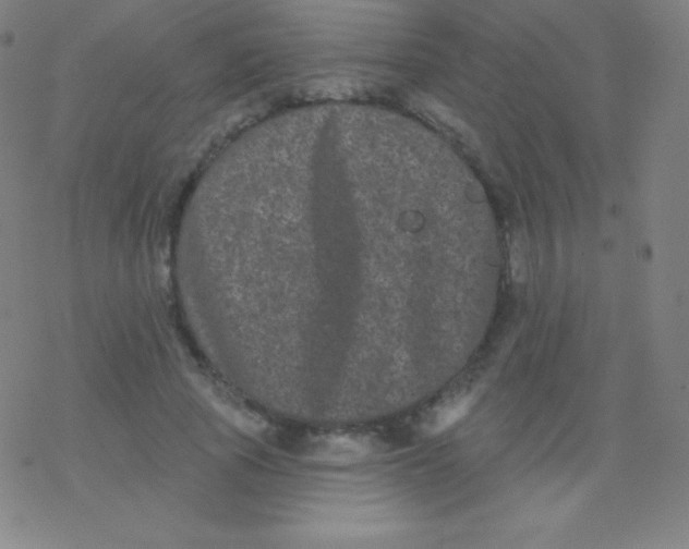 X0000077350737200611101613