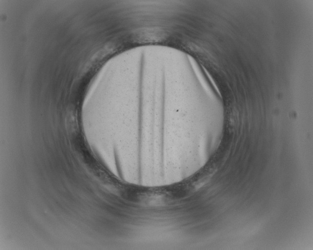 X0000077350743200611101613