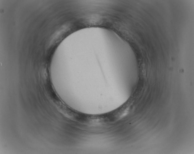 X0000077350746200611101613