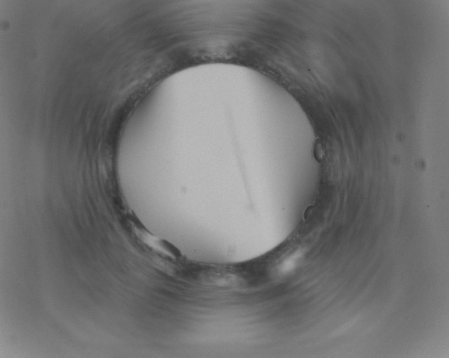 X0000077350747200611101613