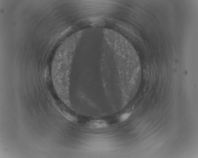 X0000077350748200611101613