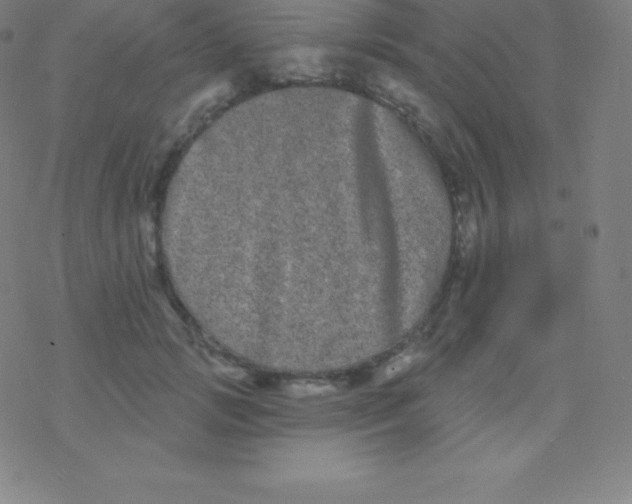 X0000077350749200611101613