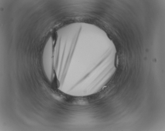 X0000077350750200611101613