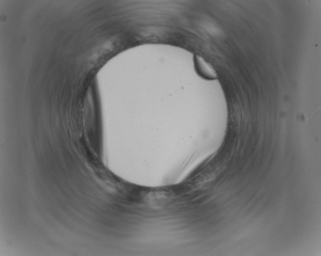 X0000077350751200611101613