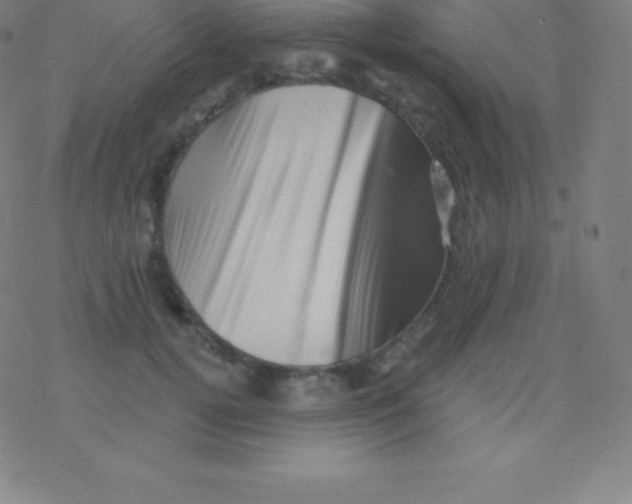 X0000077350752200611101613