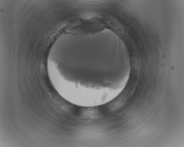 X0000077350754200611101613