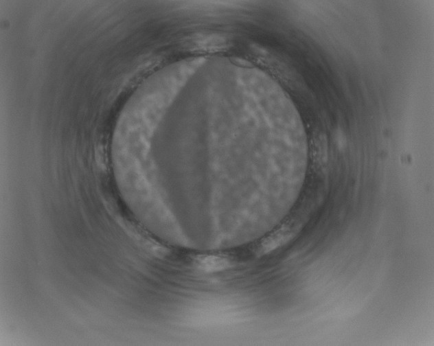 X0000077350755200611101613