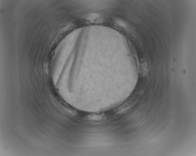 X0000077350756200611101614