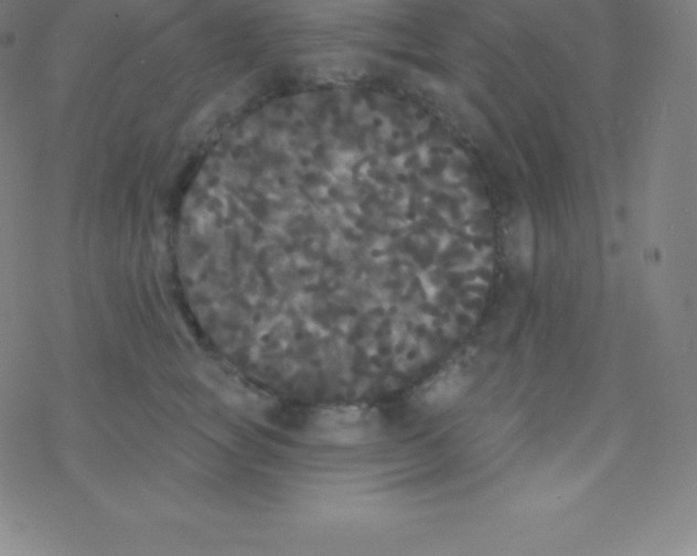 X0000077350757200611101614