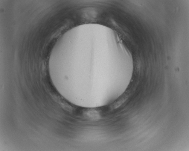 X0000077350759200611101614