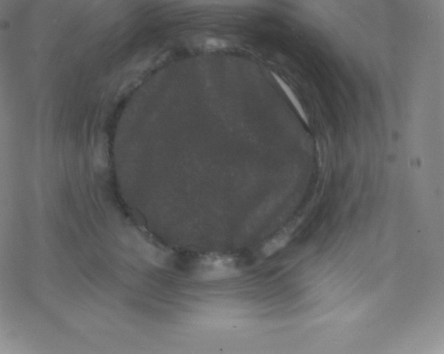 X0000077350760200611101614