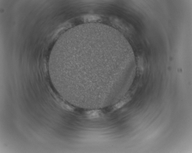 X0000077350761200611101614