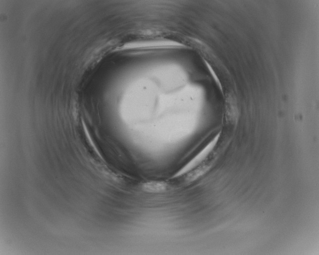 X0000077350762200611101614