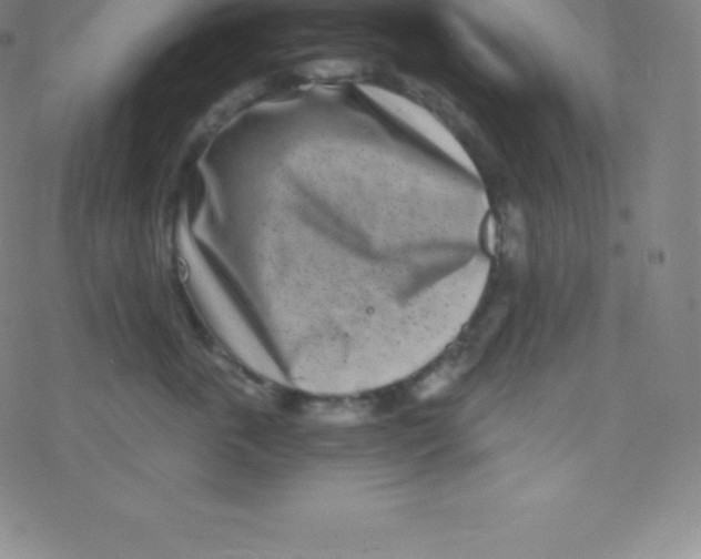 X0000077350763200611101614