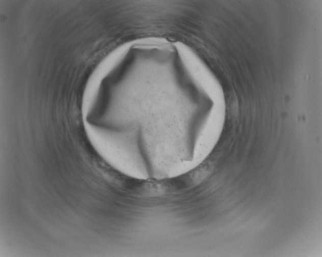 X0000077350764200611101614