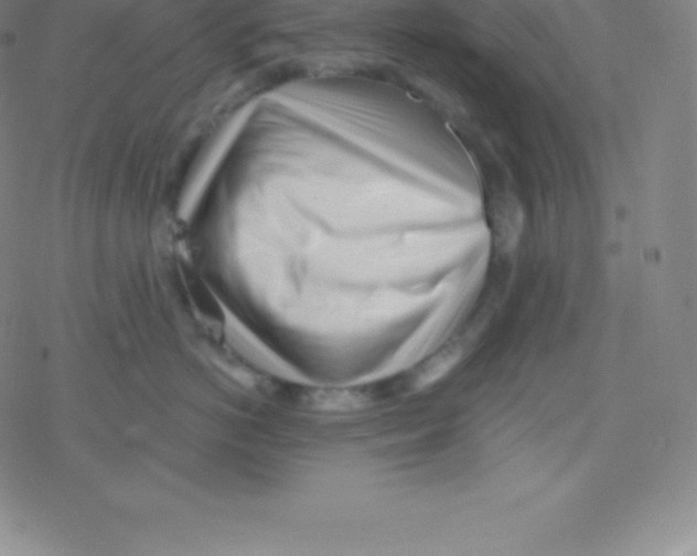 X0000077350766200611101614