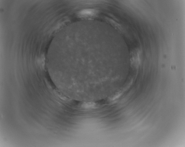 X0000077350767200611101614