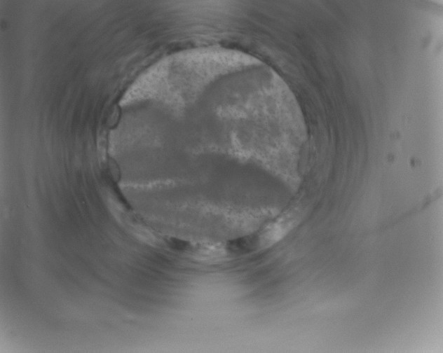 X0000077350768200611101614