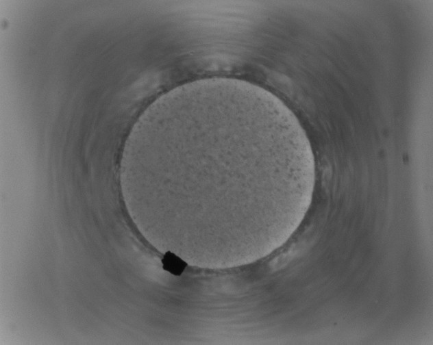 X0000077350769200611101613