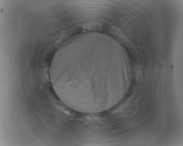 X0000077350770200611101613