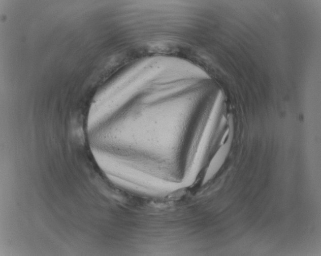 X0000077350771200611101613