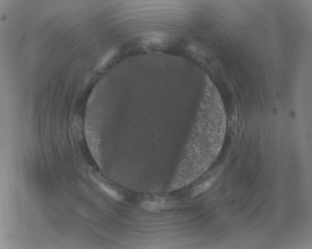 X0000077350772200611101613