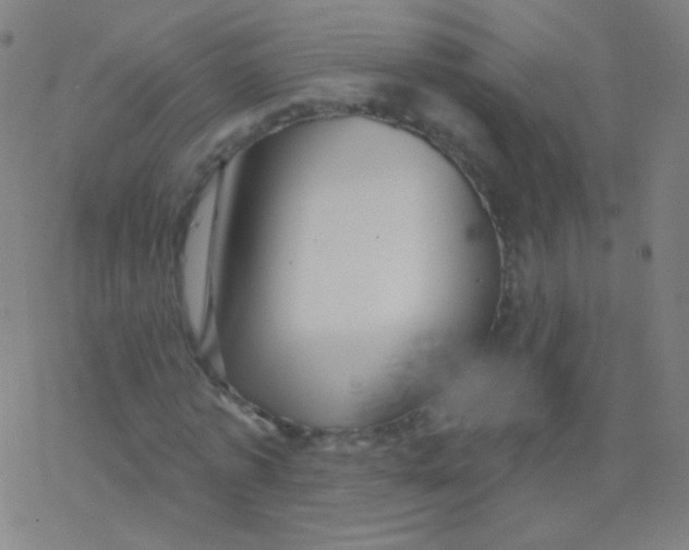 X0000077350773200611101613