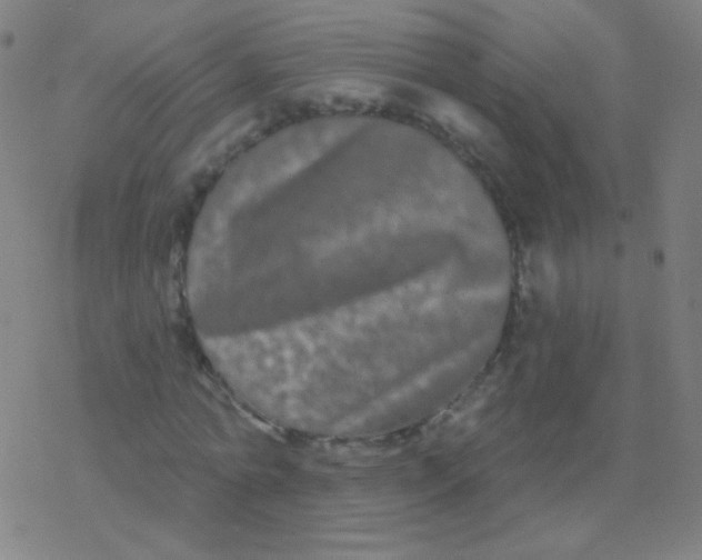 X0000077350774200611101613