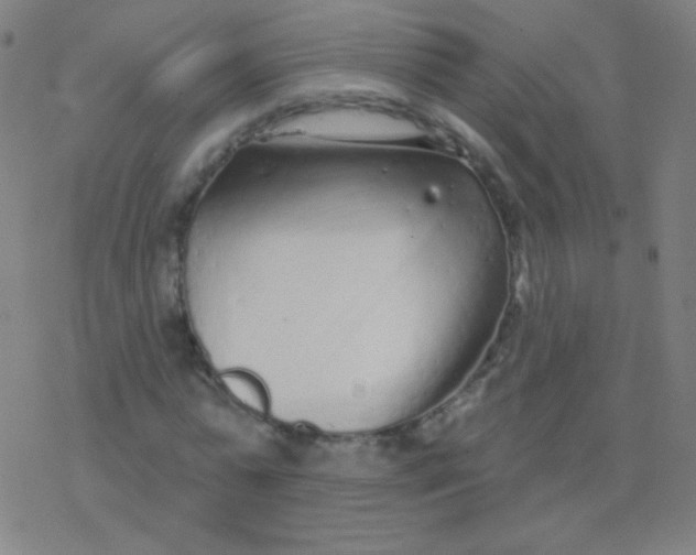 X0000077350775200611101613