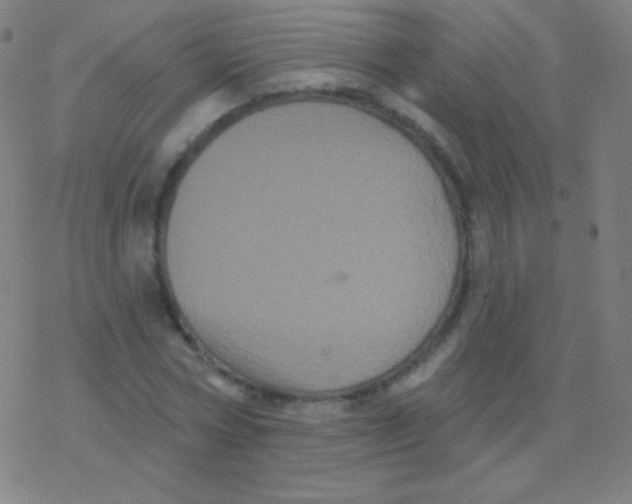 X0000077350778200611101613