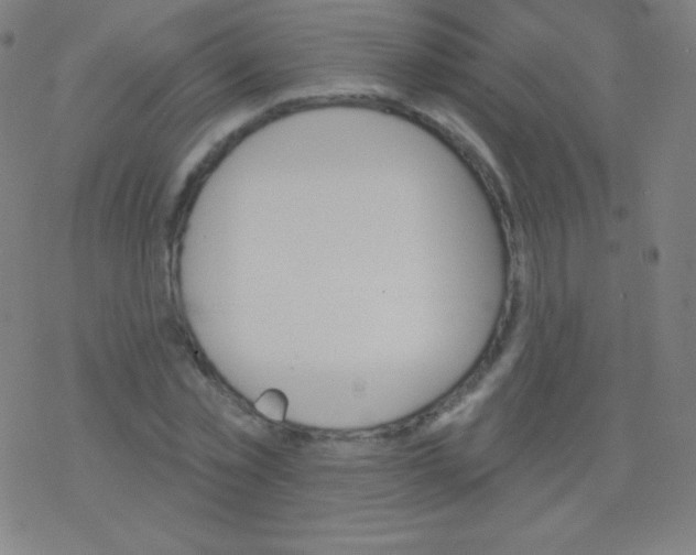 X0000077350781200611101613