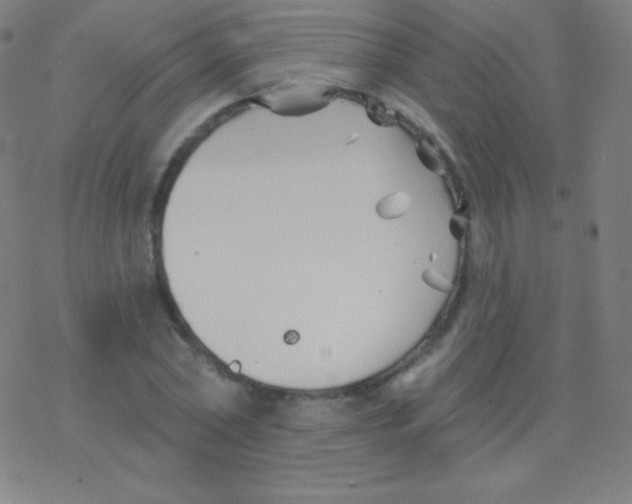 X0000077350782200611101613