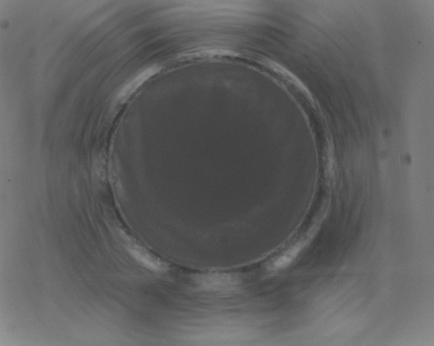 X0000077350785200611101613