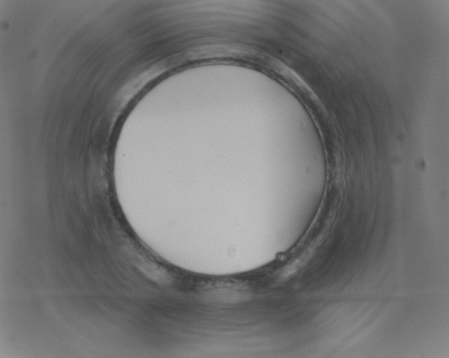 X0000077350786200611101613