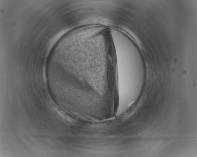 X0000077350788200611101613