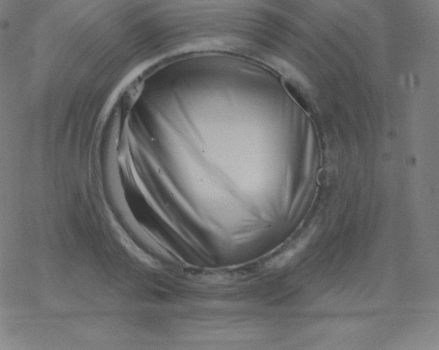 X0000077350792200611101613