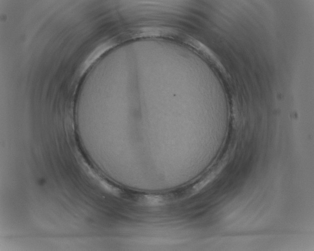 X0000077350794200611101613